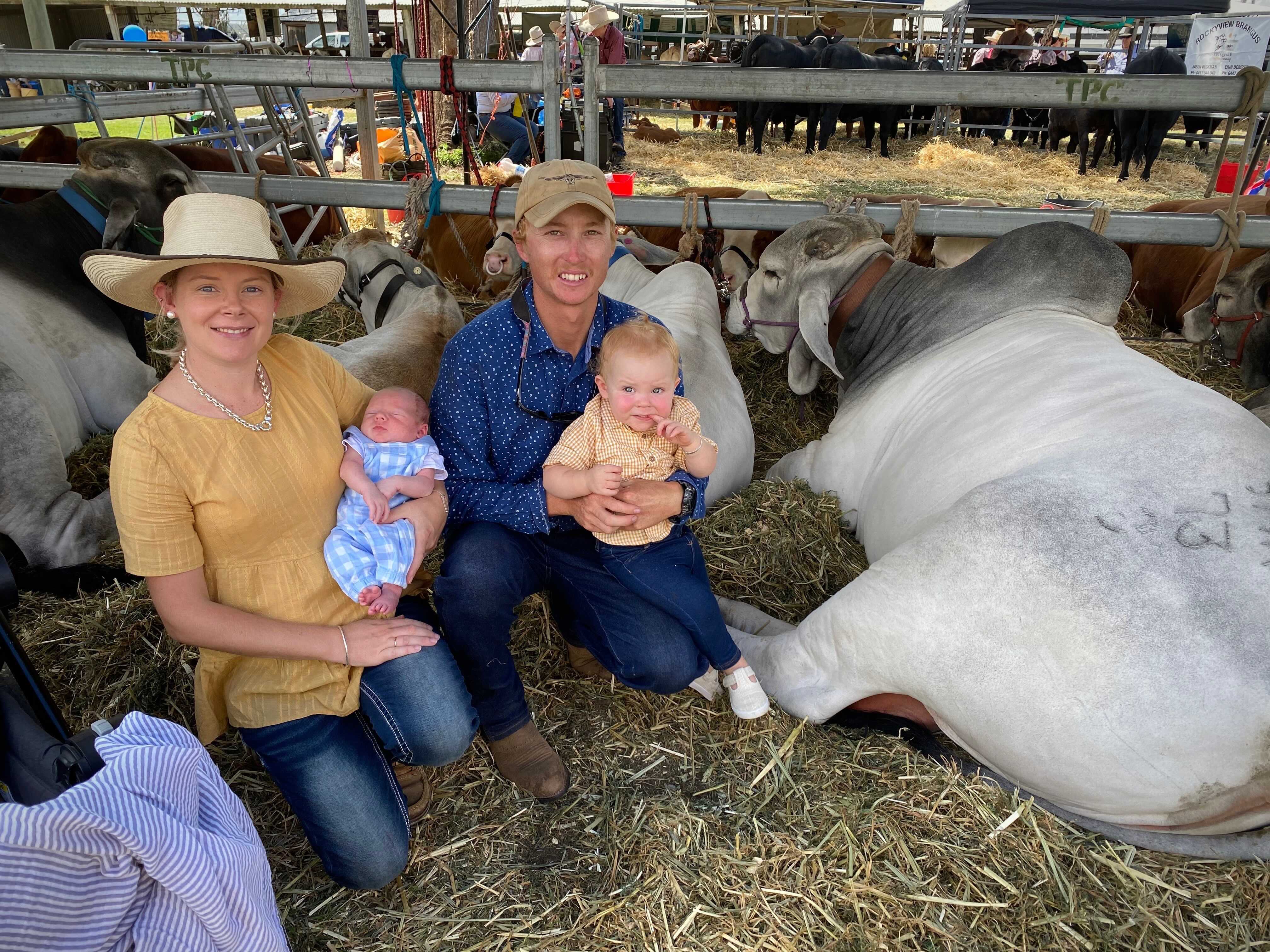 Sunnyside Brahmans Beef Australia Stud Cattle & Auction